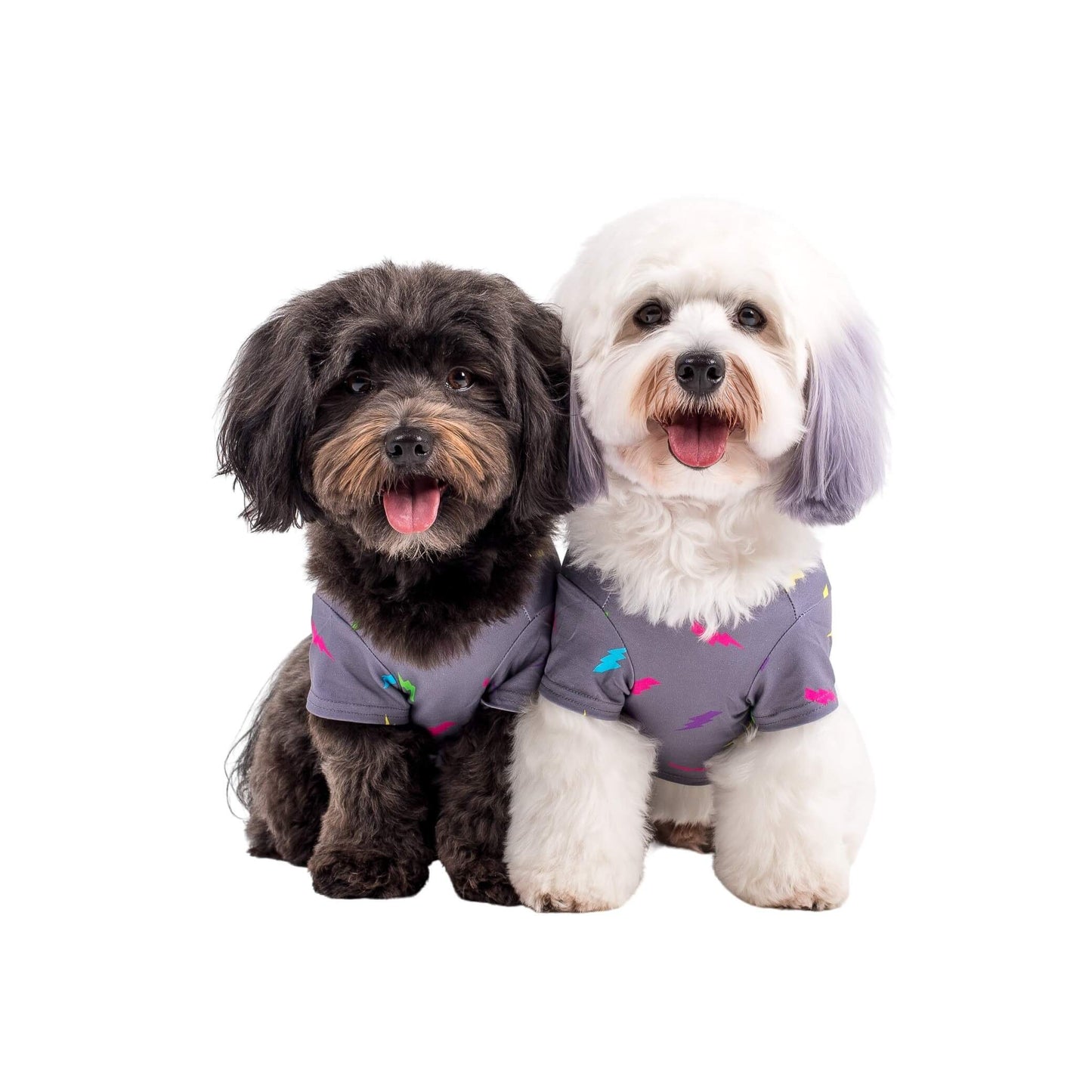 Electric Energy Dog Shirt