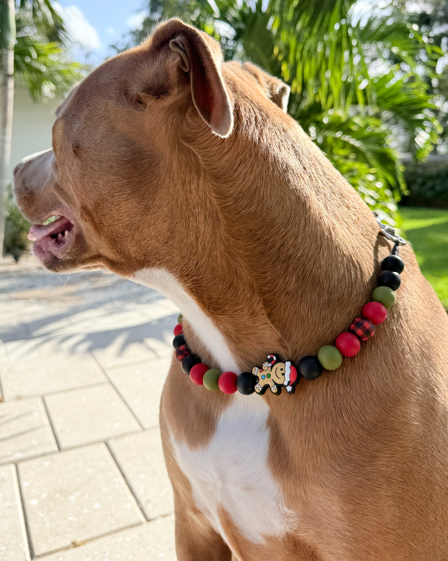 Gingerbread Man | Beaded Dog Collar