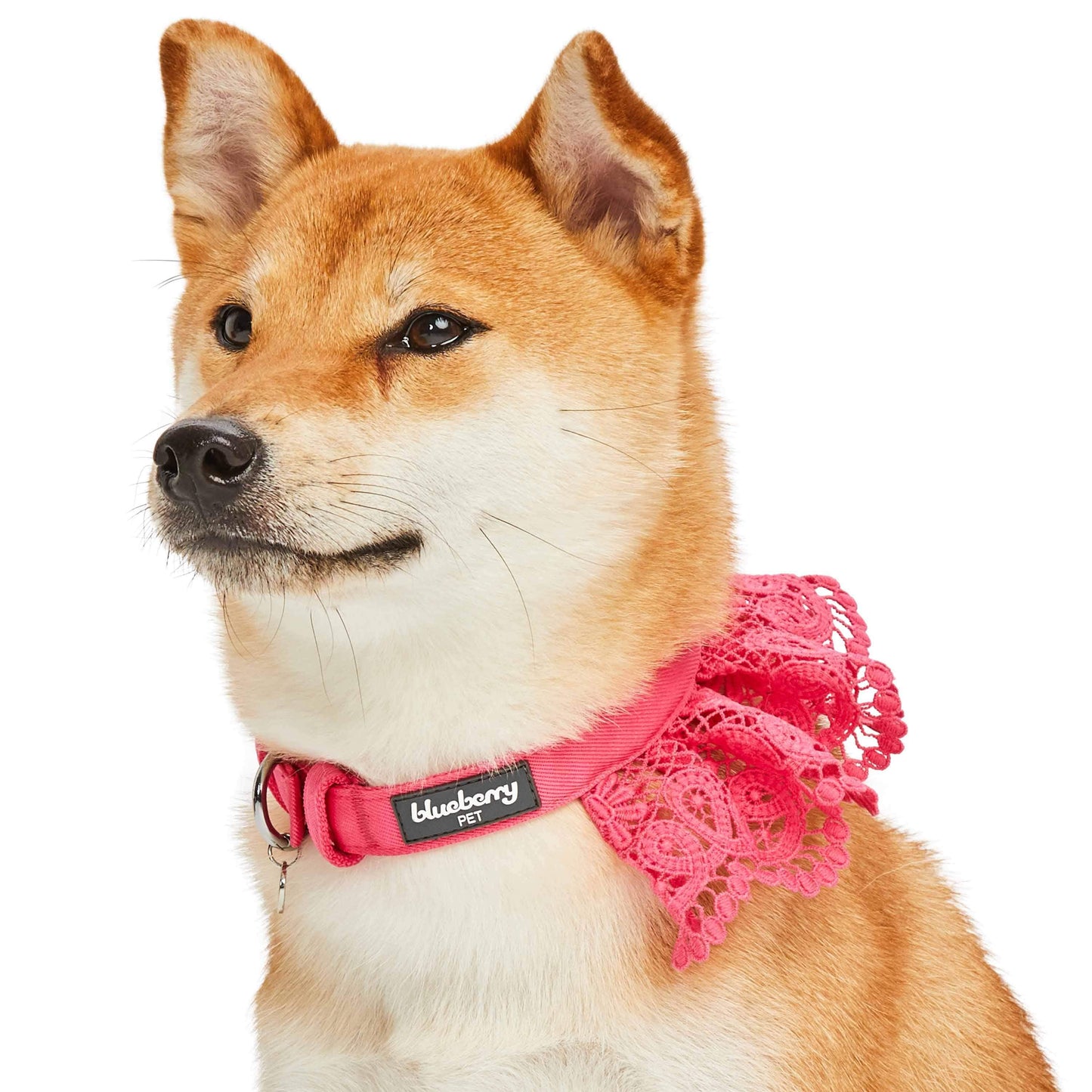 Cute Floral Lace Dog Collar - Lavender