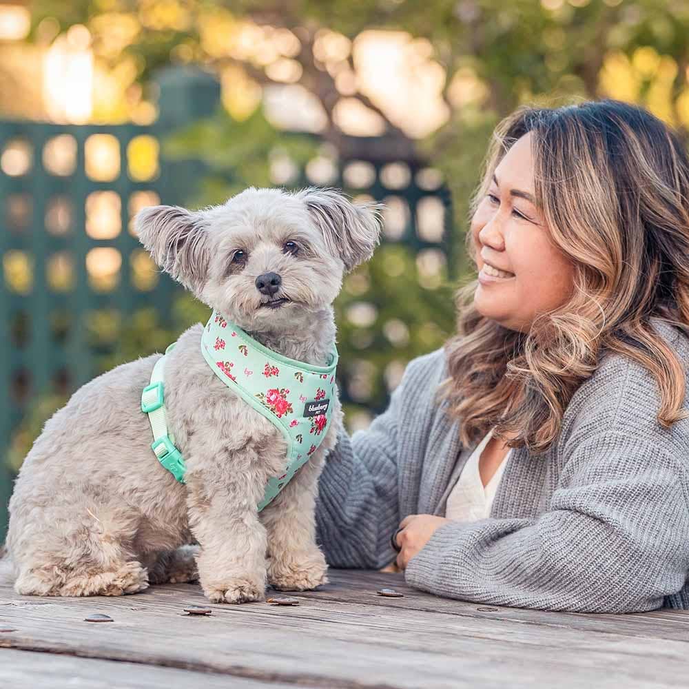Chaleco arnés para perros con diseño floral de Petal Paws
