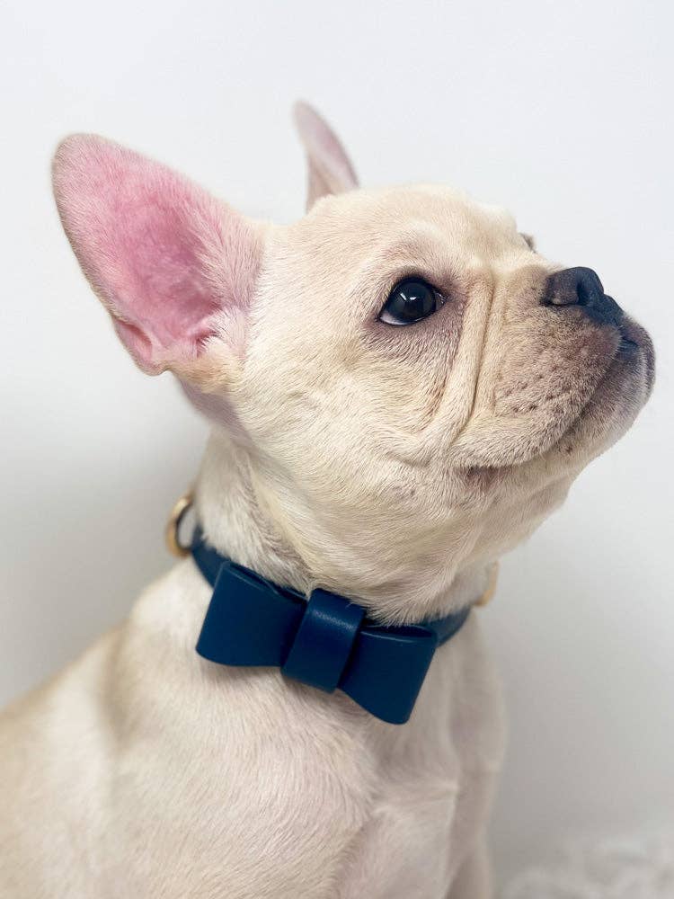 Conjunto de collar y correa para perros Signature - Azul marino