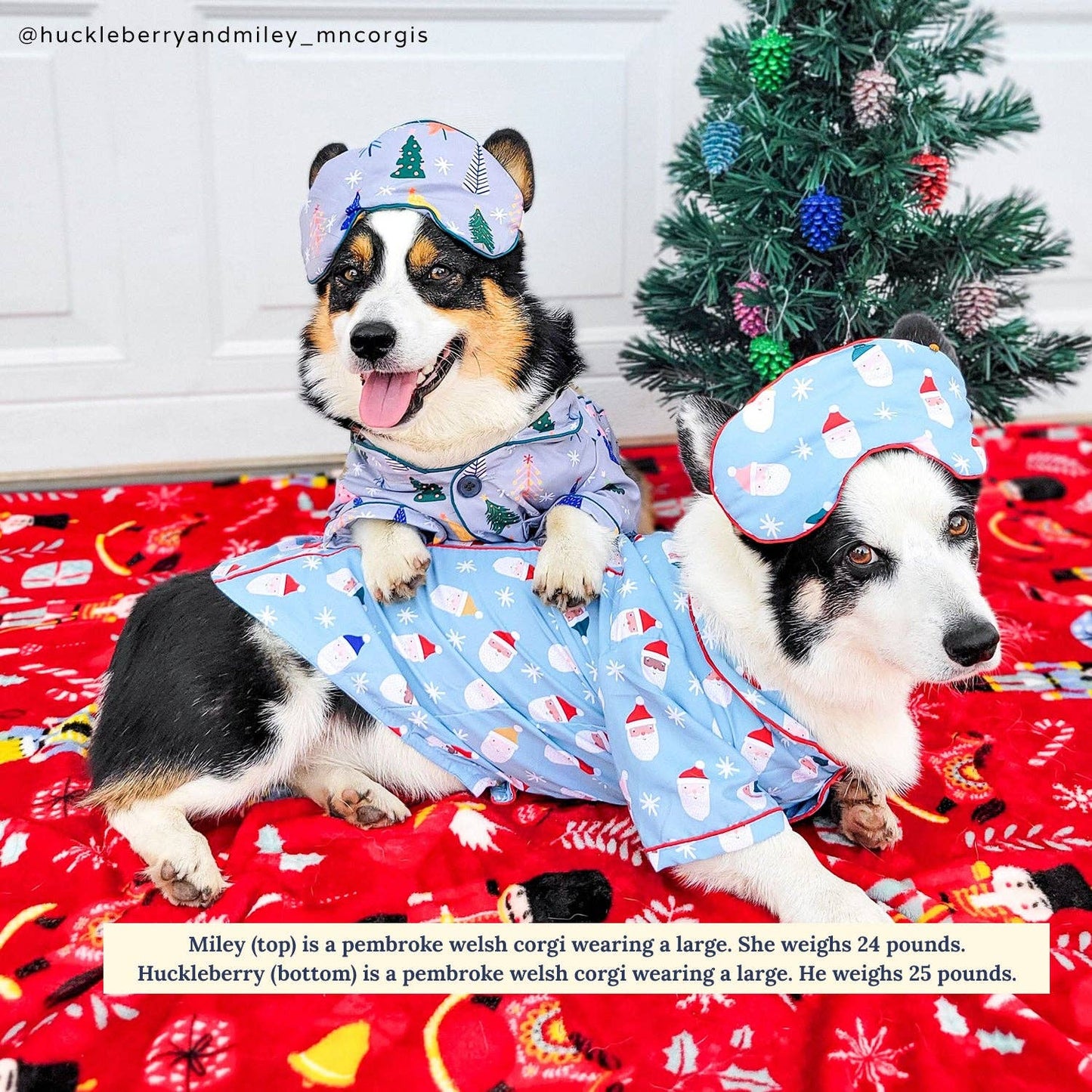 The Tree-mendous Pajamas + Human Eye Pillow