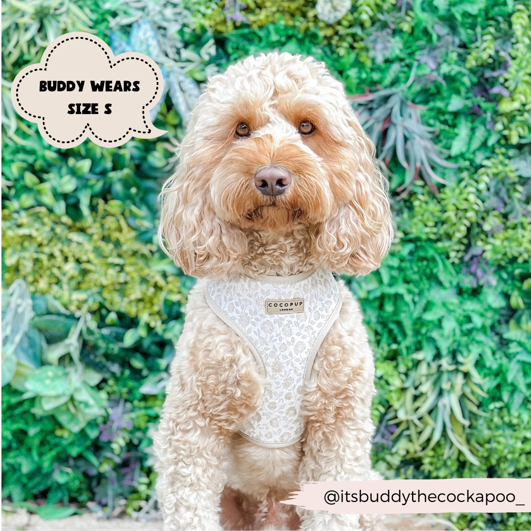 Luxe Adjustable Neck Harness - Garden Meadow