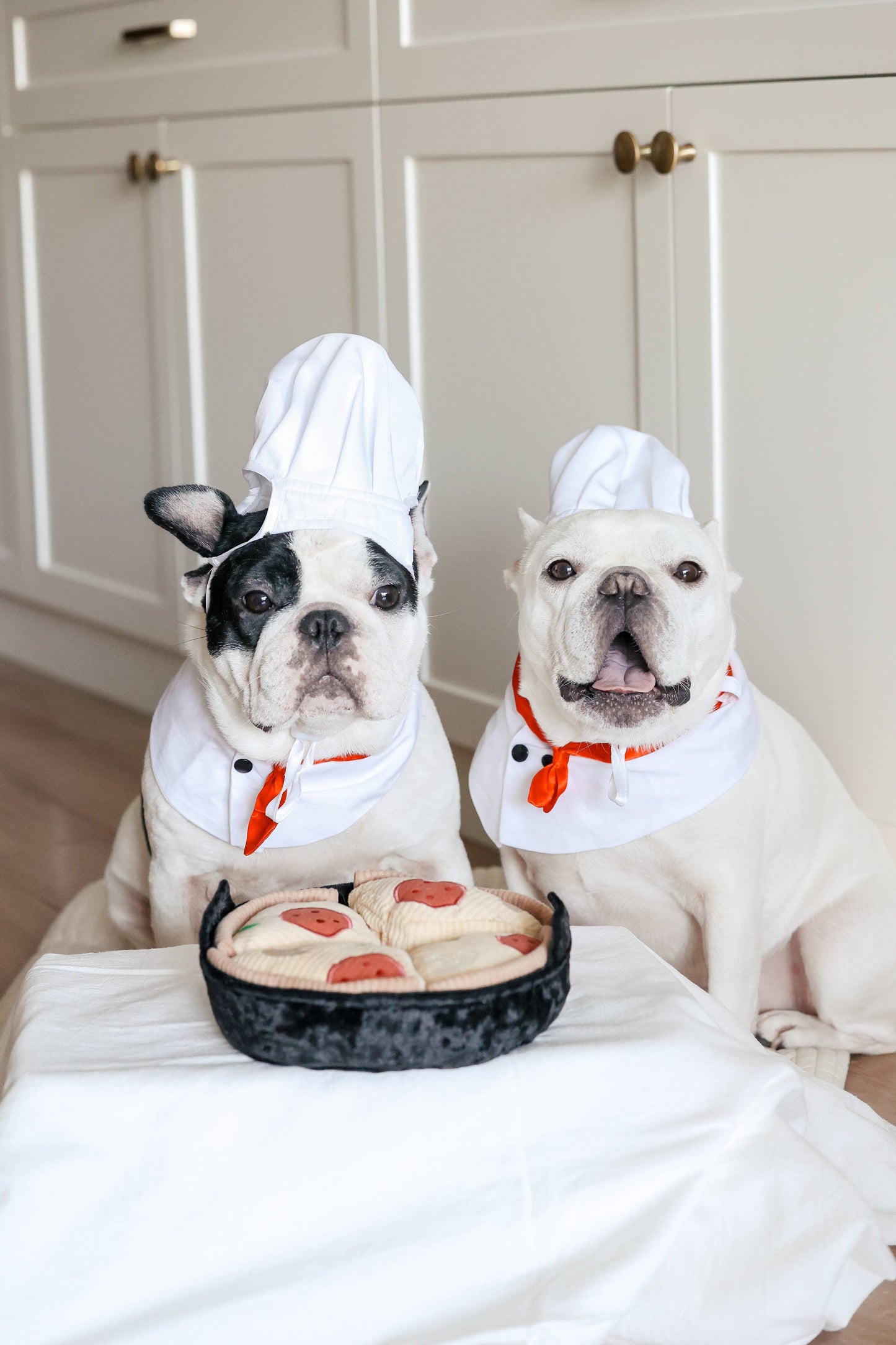 Juguete enriquecedor para perros con forma de pizza de base profunda