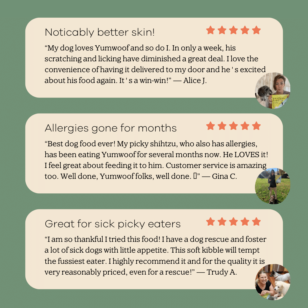 Perfect Kibble Air-Dried Dog Food - Coconut Chicken - Topper Size
