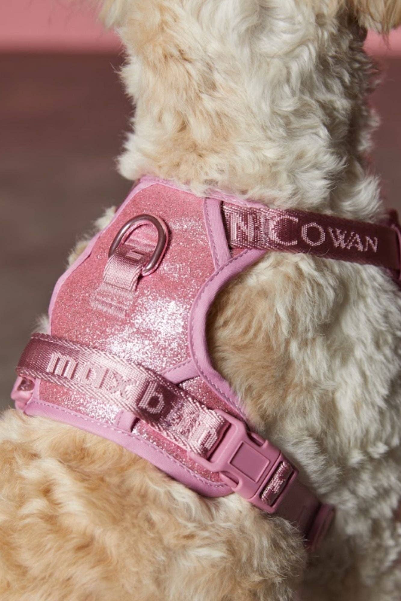 Christian Cowan x maxbone Glitz Walk Set for Dogs
