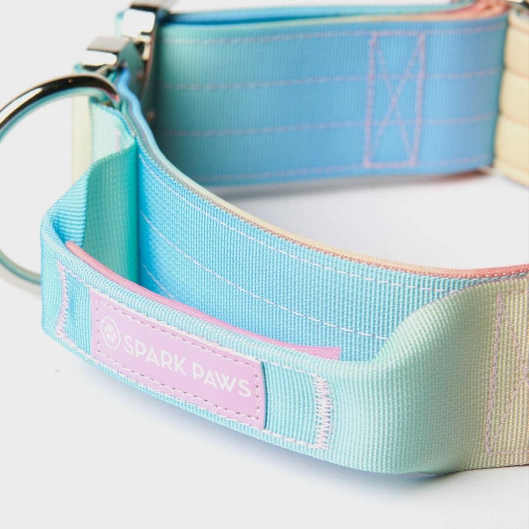 Tactical Dog Collar - Pastel Icing