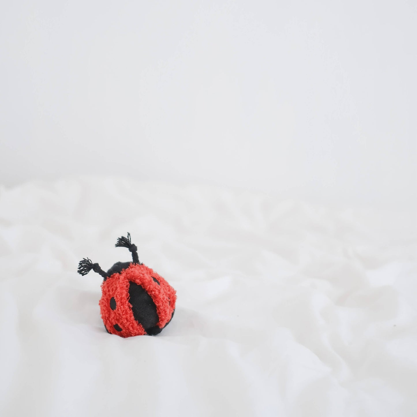 Petite Ladybug Snuffle Toy