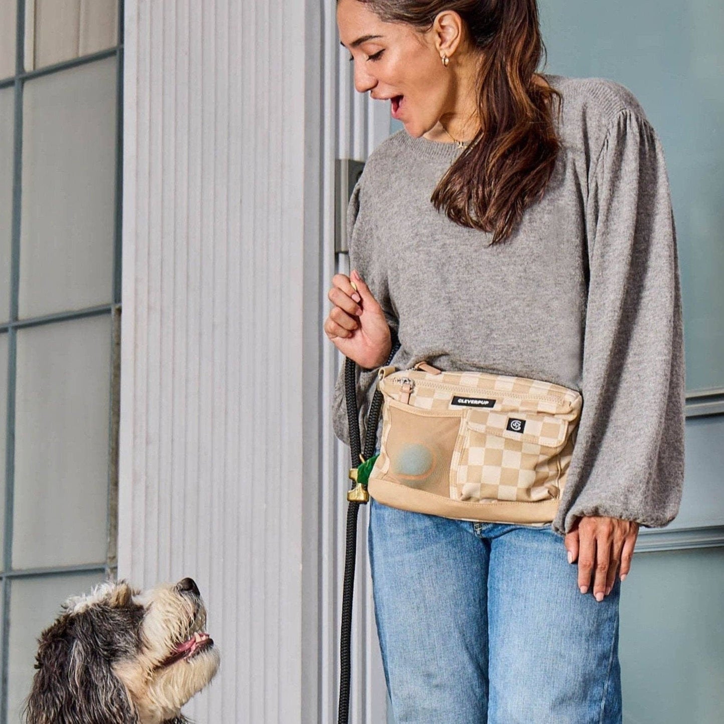 Dog Walk & Train Sling Bag - Check