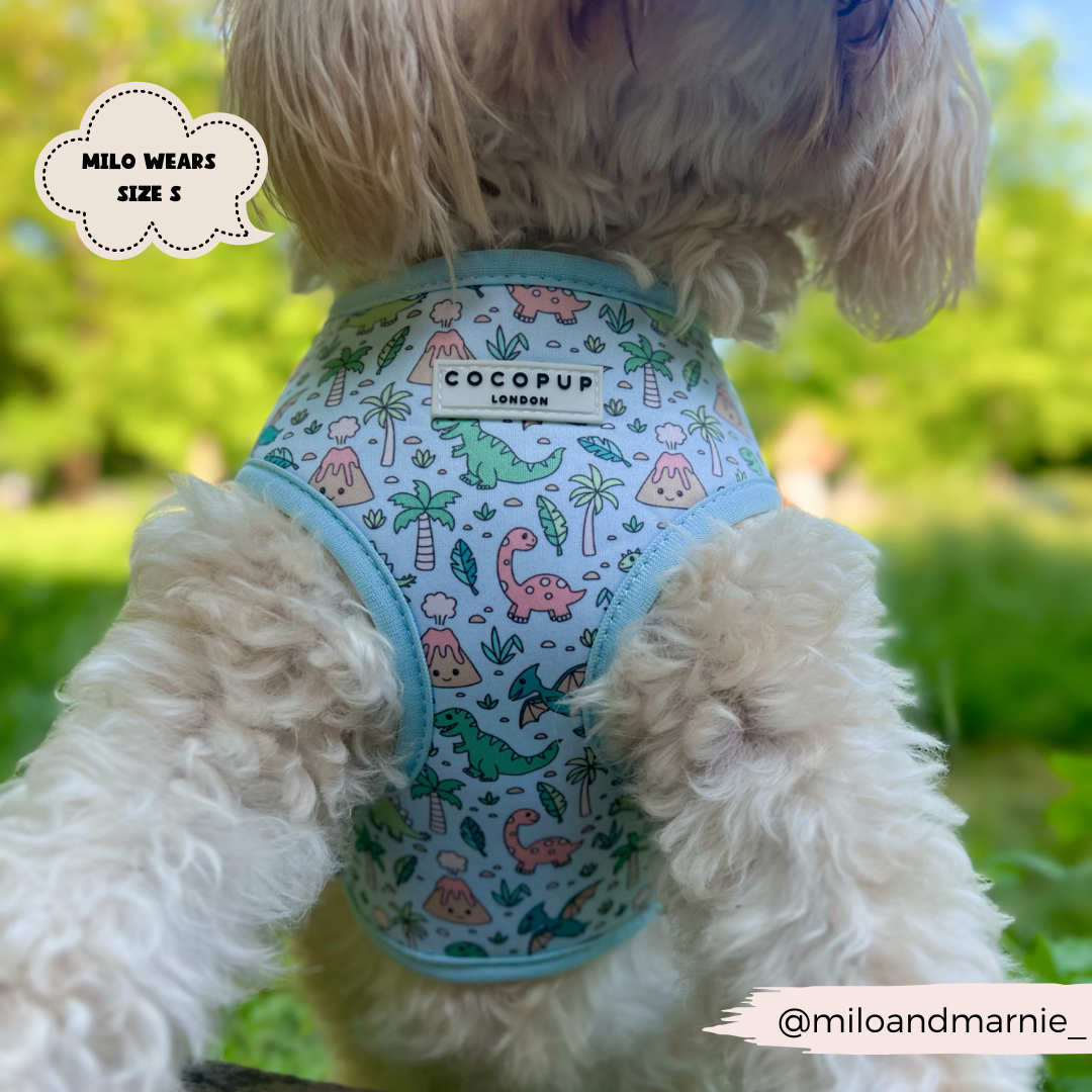 Dinopaws Adjustable Neck Dog Harness