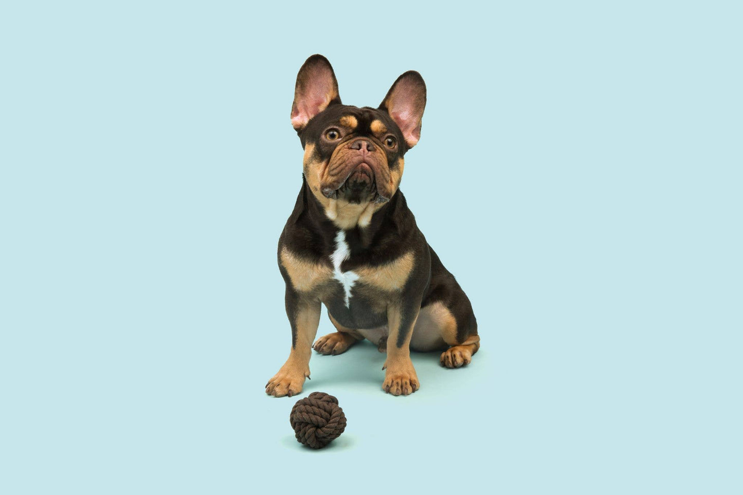 Rope Ball Tug Toy for Dogs - Coffee