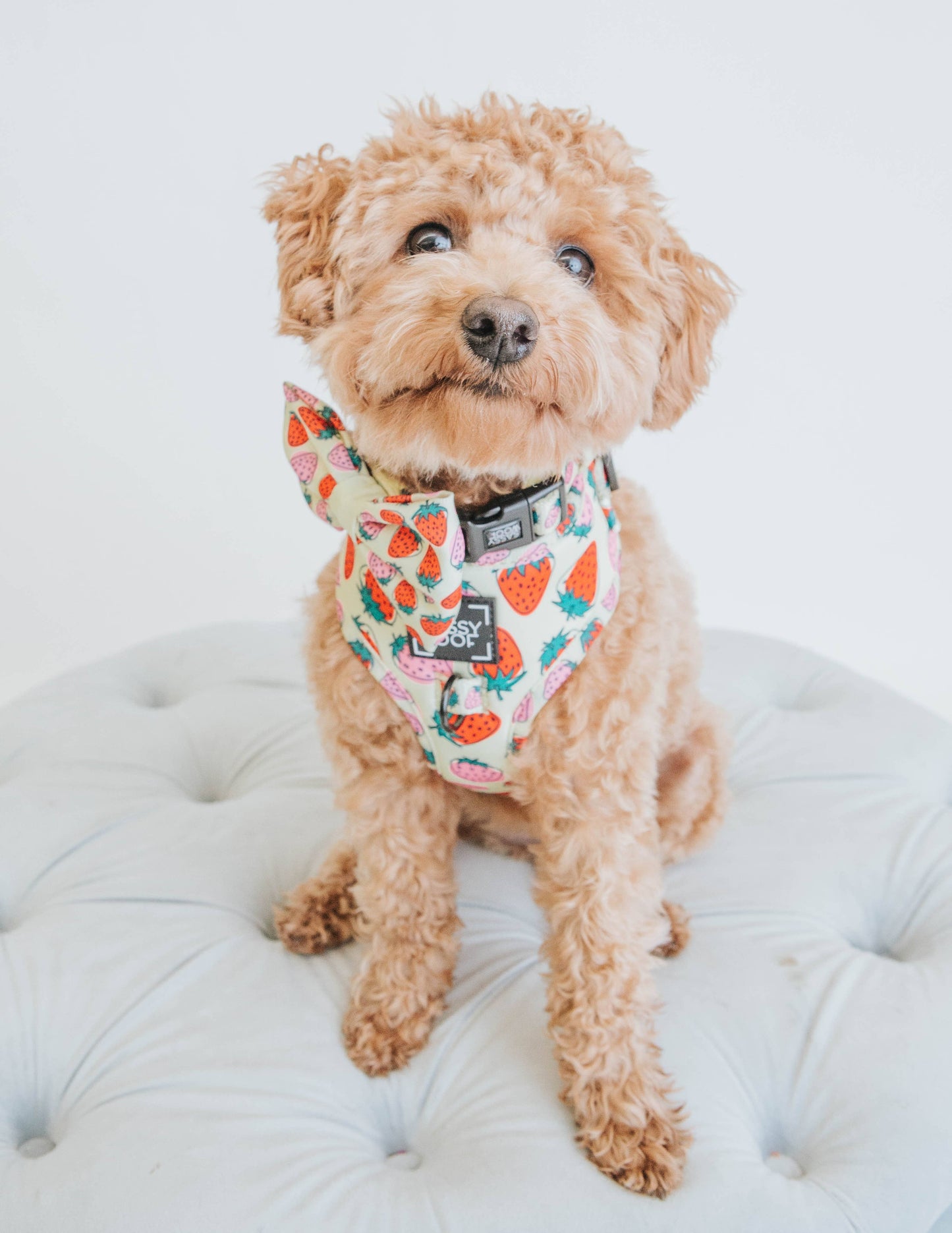 Arnés ajustable para perros - Strawberry Fields Furever