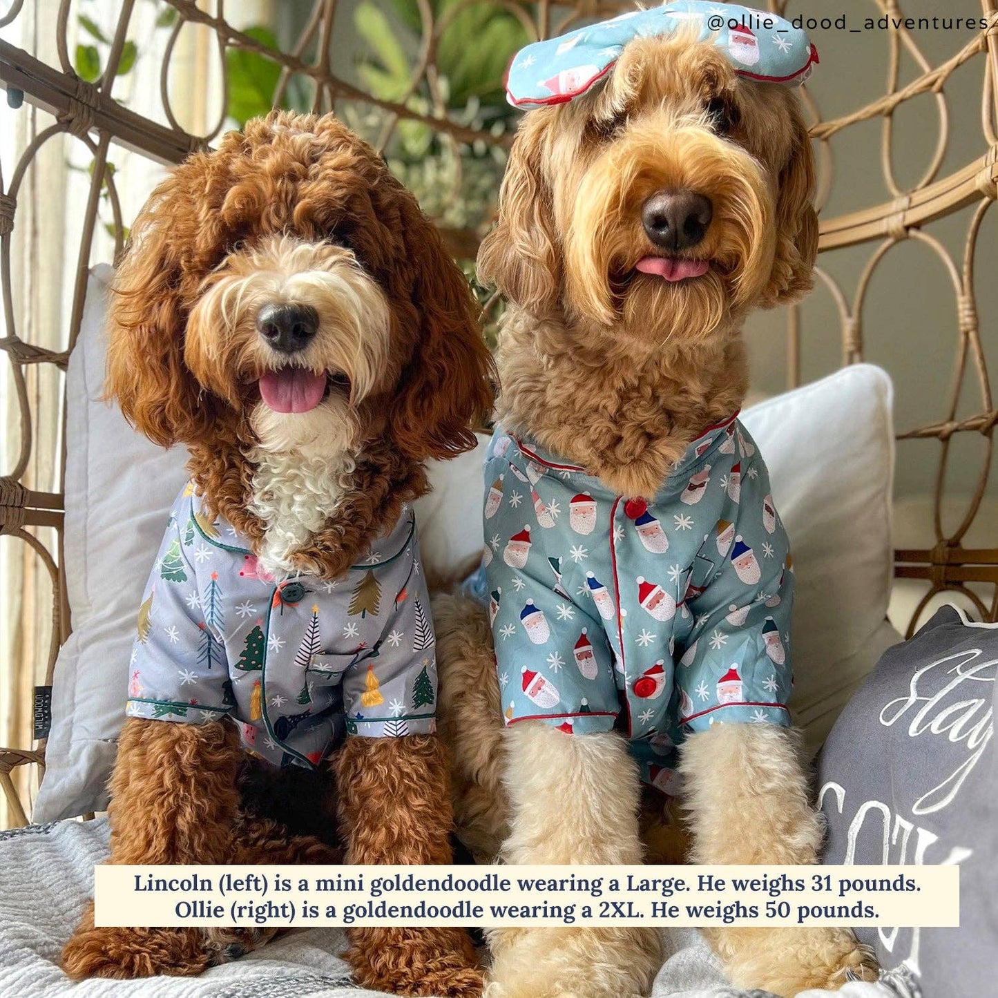 The Tree-mendous Pajamas + Human Eye Pillow