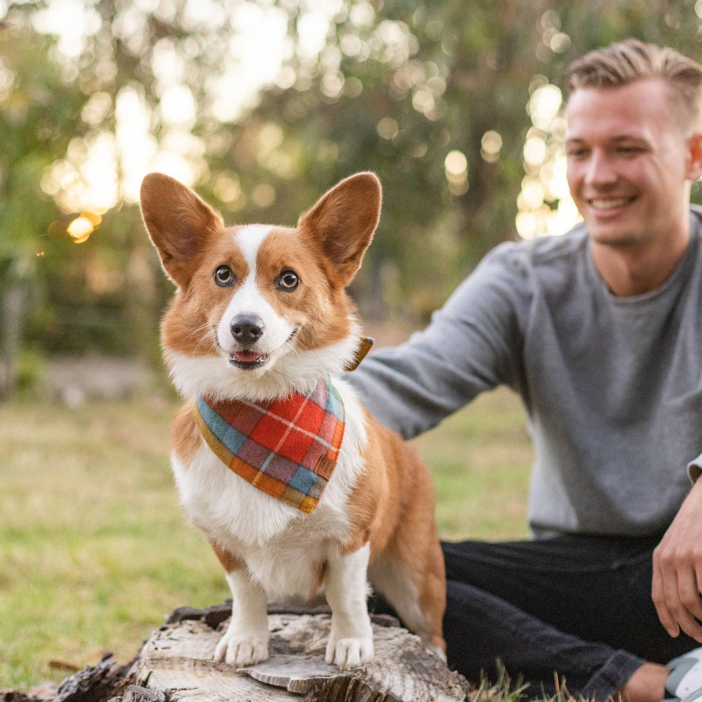 Buchanan Plaid Fall Dog Bandana