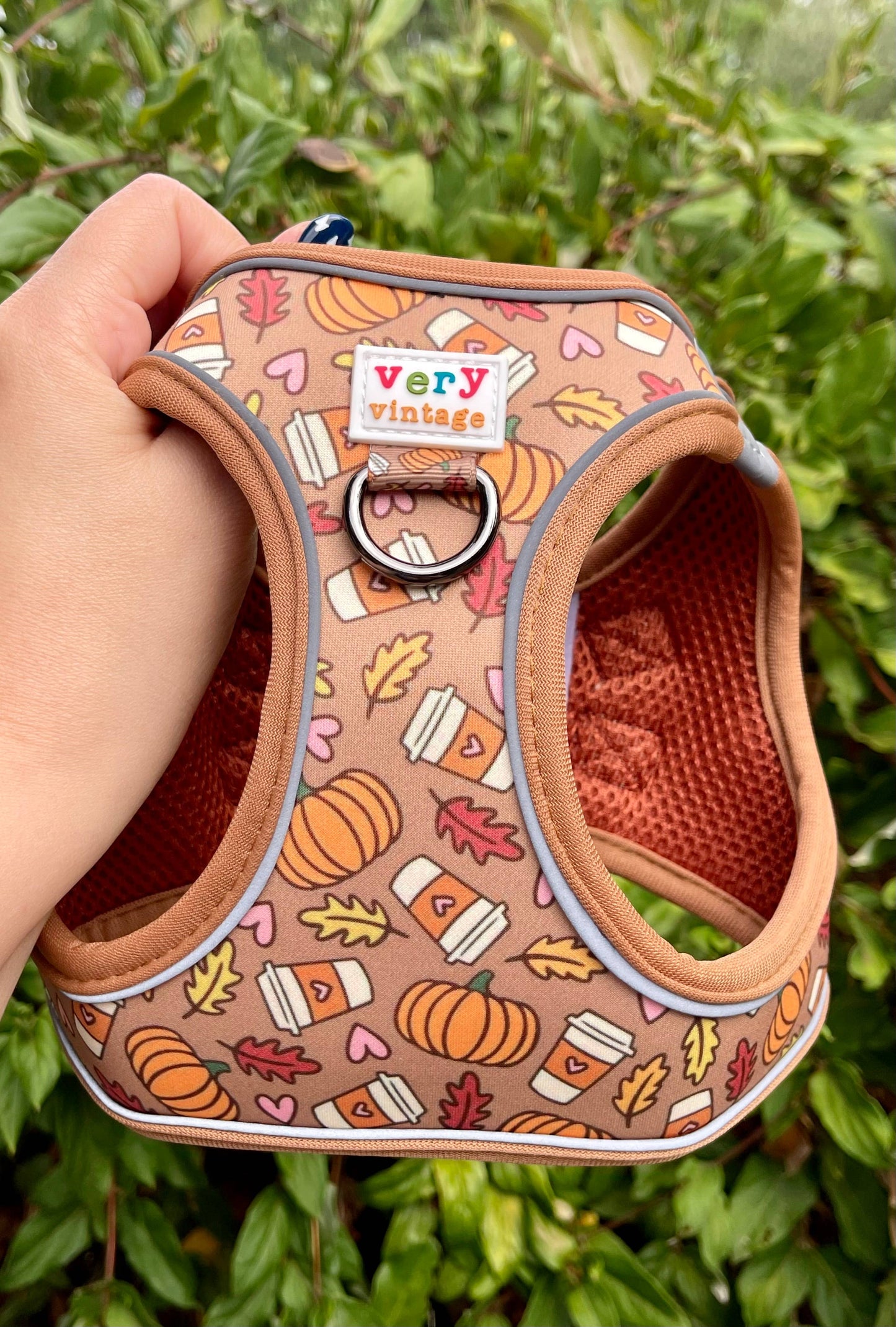 Pumpkin Spice Dog Harness
