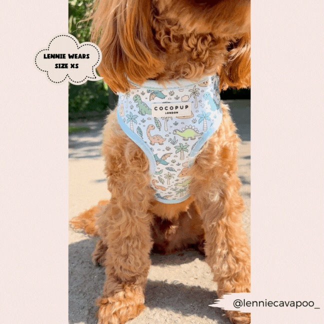 Dinopaws Adjustable Neck Dog Harness