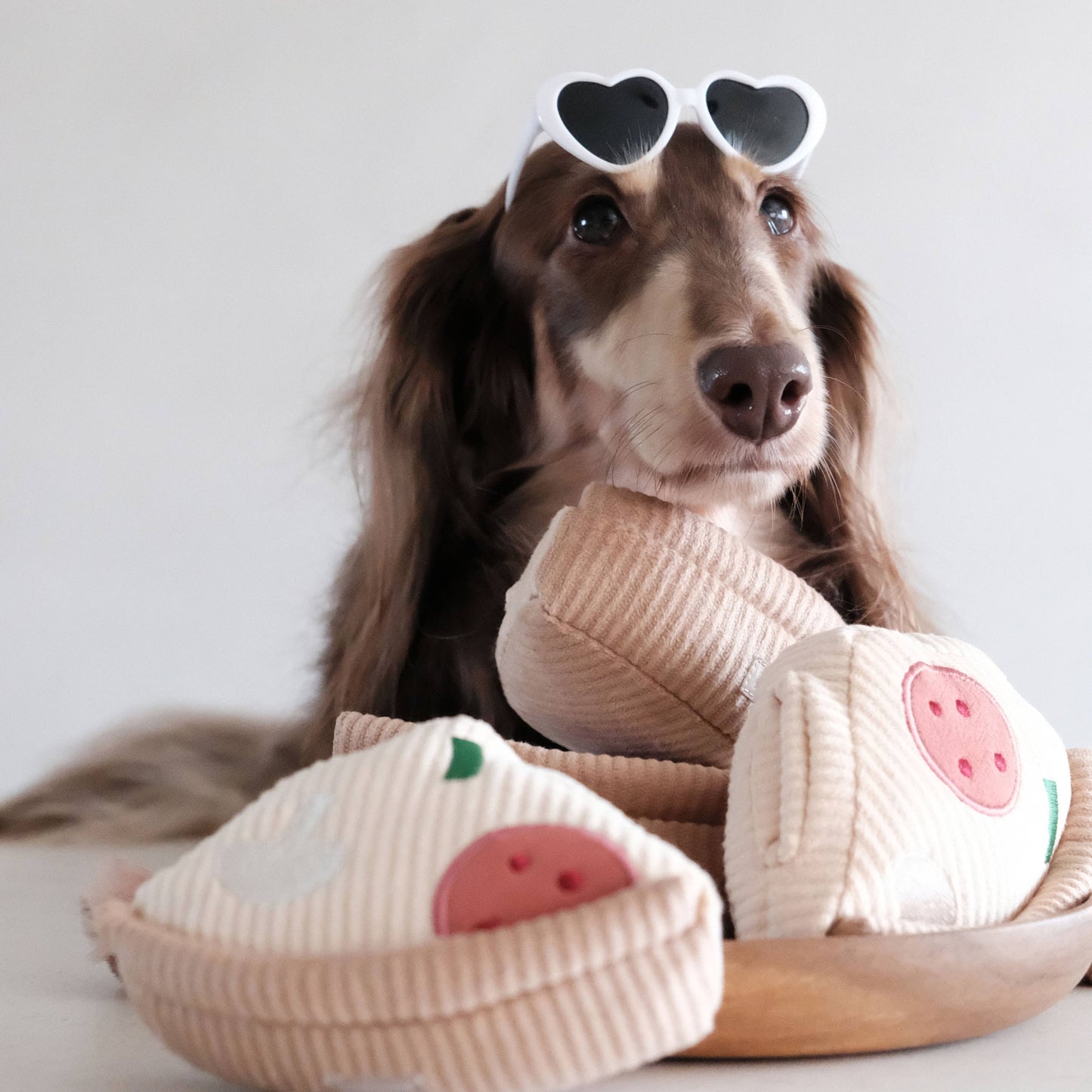 Juguete enriquecedor para perros con forma de pizza de base profunda