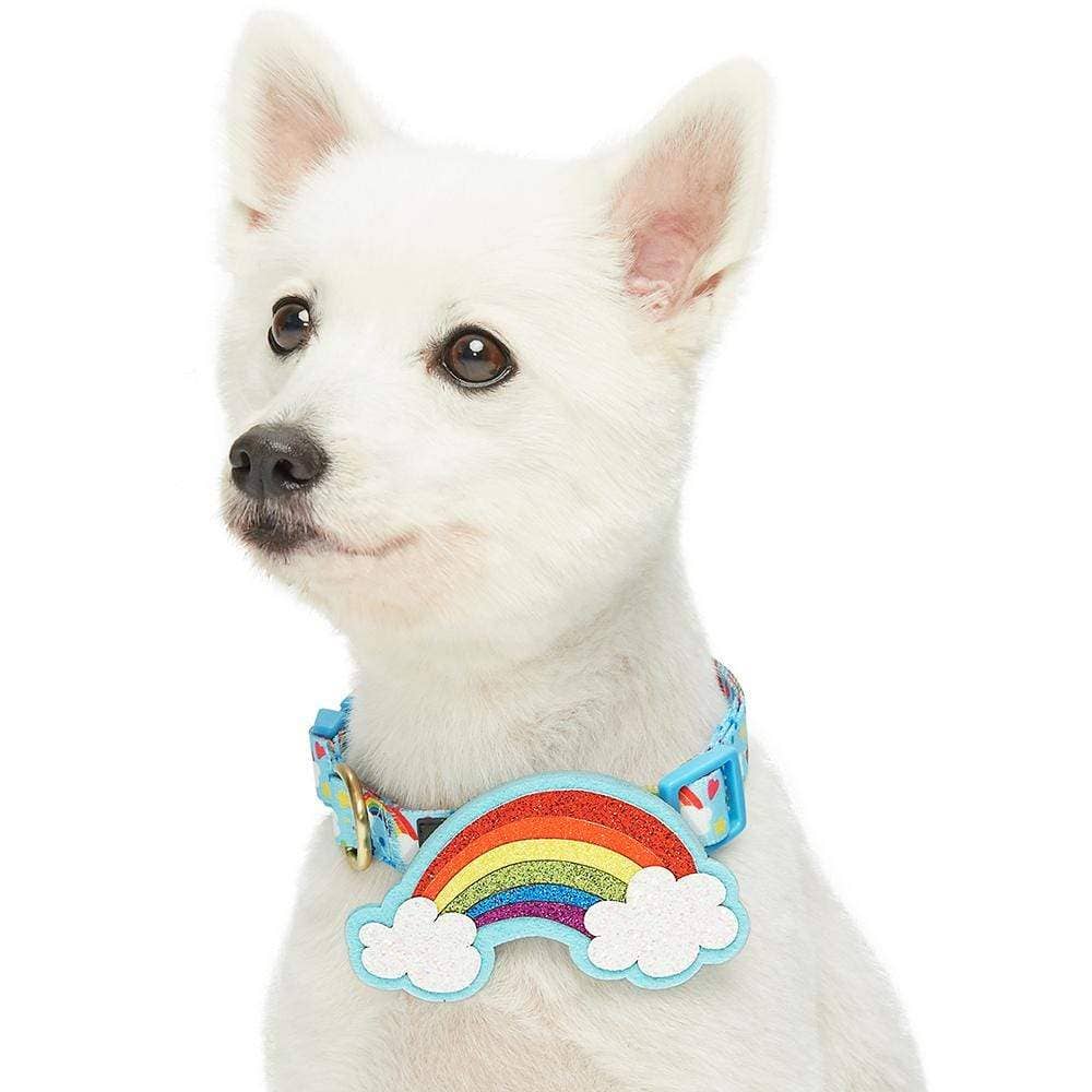 Perfect Rainbow Dog Collar