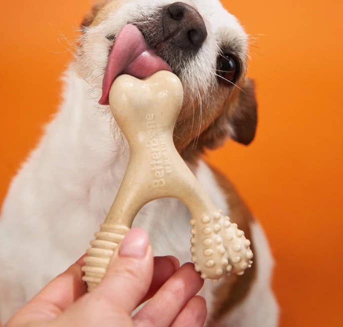 BetterBone SOFT Beef Dog Chew Toy Mini - Assorted Sizes