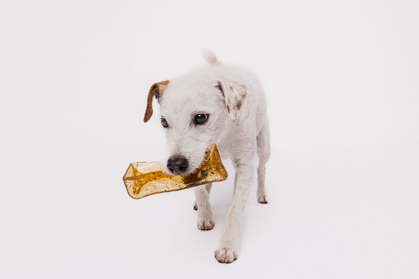 Mighty Marrows Collagen Dental Chew - Bacon Small