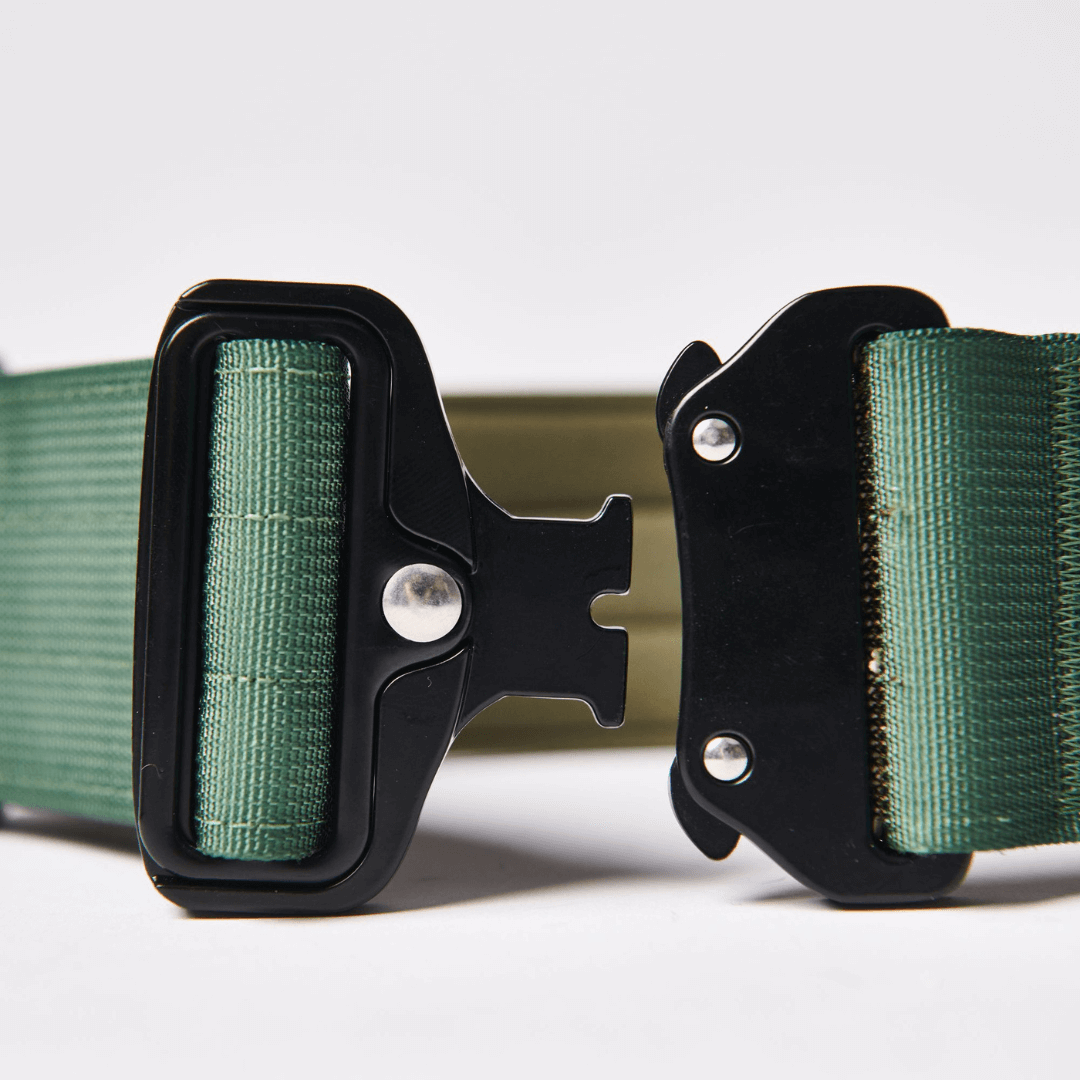 Tactical Dog Collar - Army Green