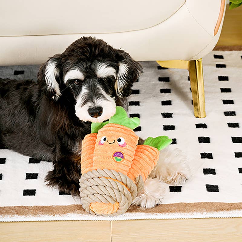 HugSmart Pet - Puppy Garden Carrot Bunch Dog Rope Toy