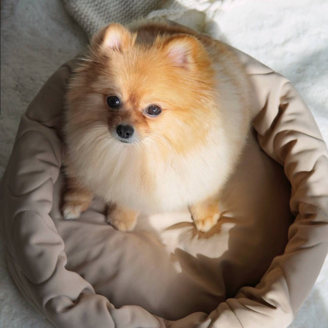 Taart Dog Bed - Assorted Colors