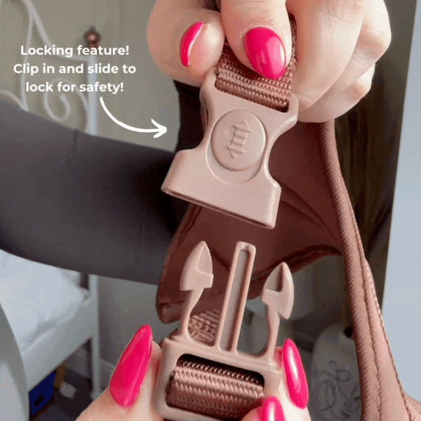Dinopaws Adjustable Neck Dog Harness