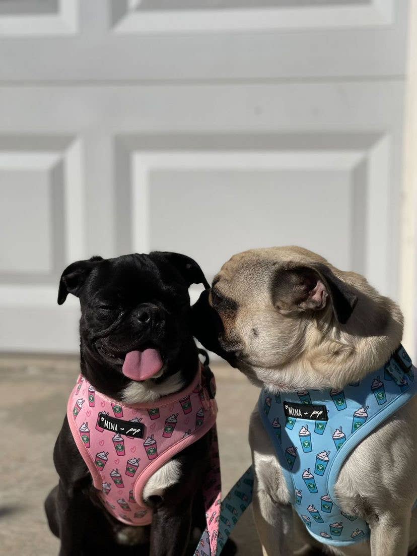 Arnés ajustable para perros Blue Pupshake