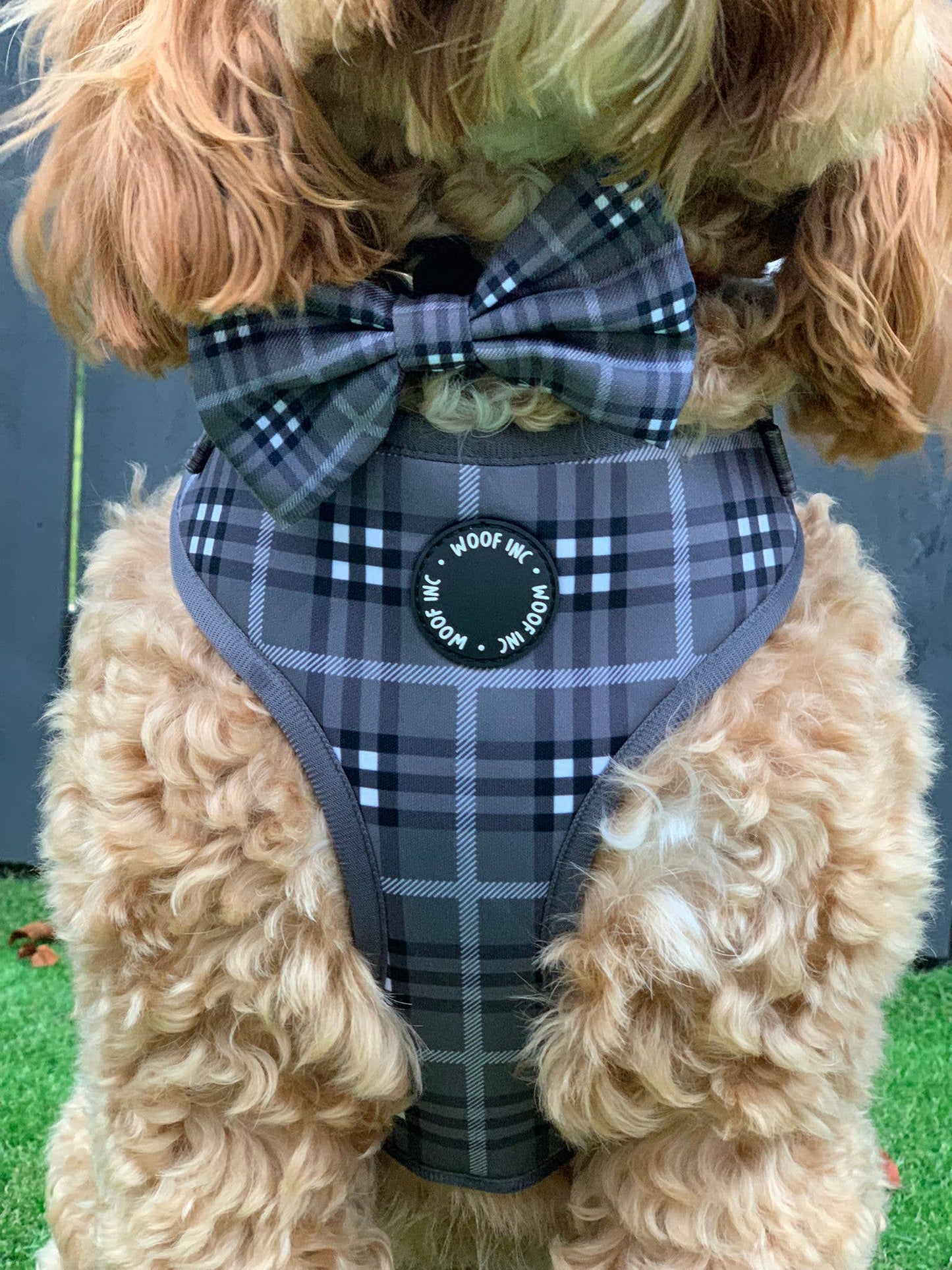 Arnés ajustable para perros con cuadros escoceses negros y grises