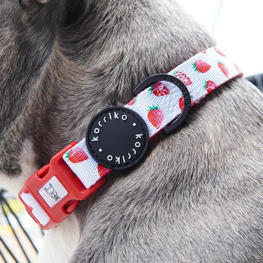 Collar para perros con fresas y crema