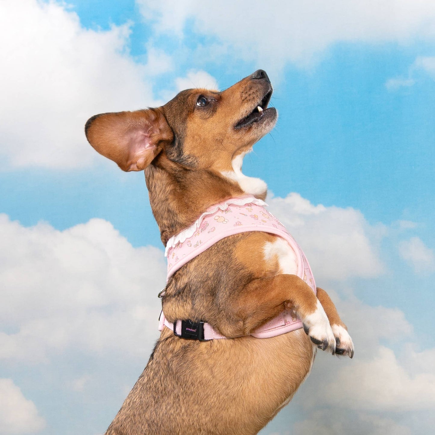 Pinkaholic Amara Over-the-Head Dog Harness Floral Ruffle: