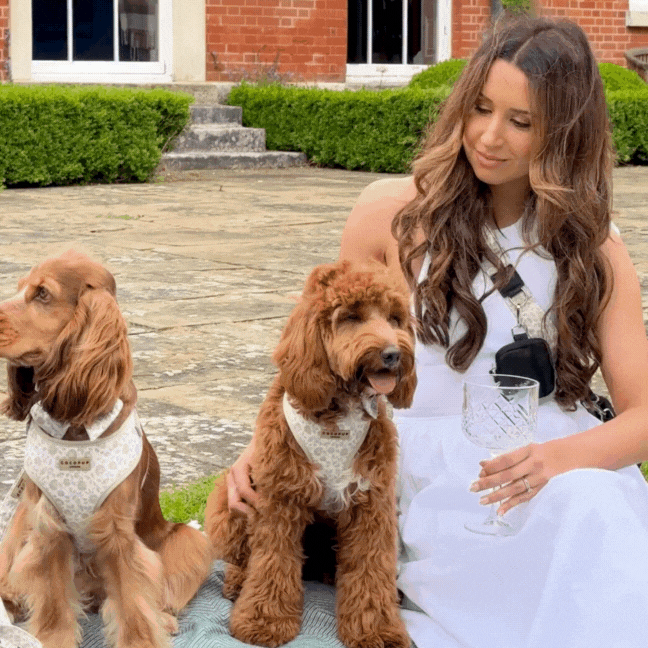 Luxe Adjustable Neck Harness - Garden Meadow