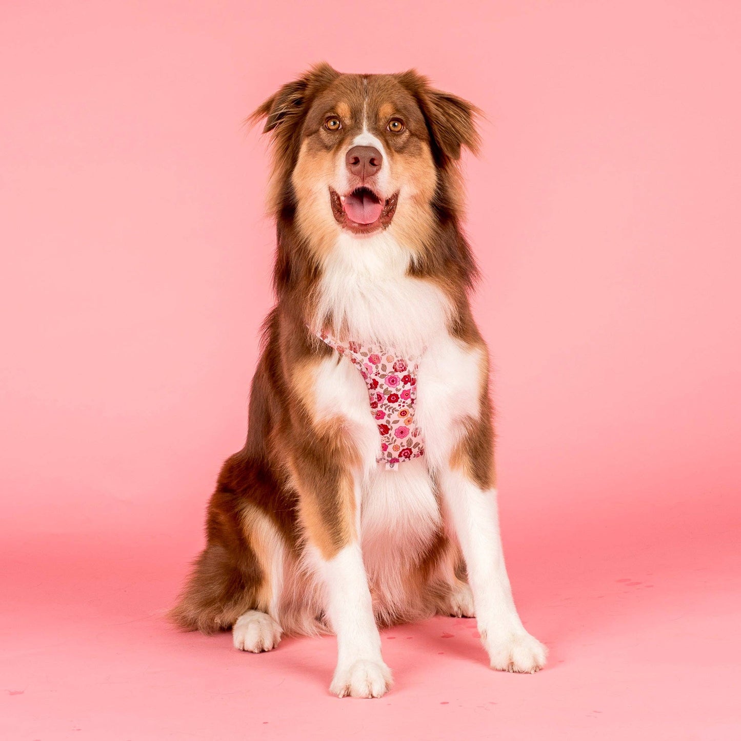 Primrose Adjustable Dog Harness