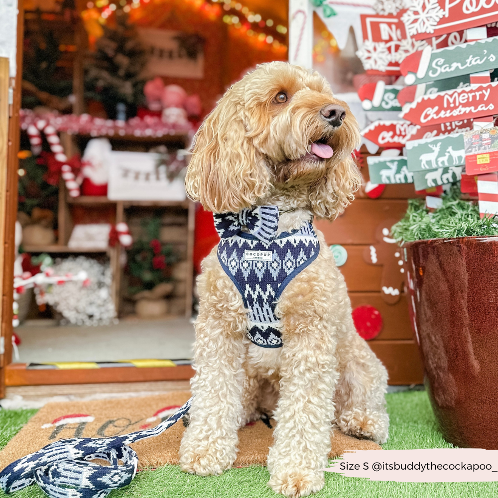 Arnés ajustable para perros Chalet Pup