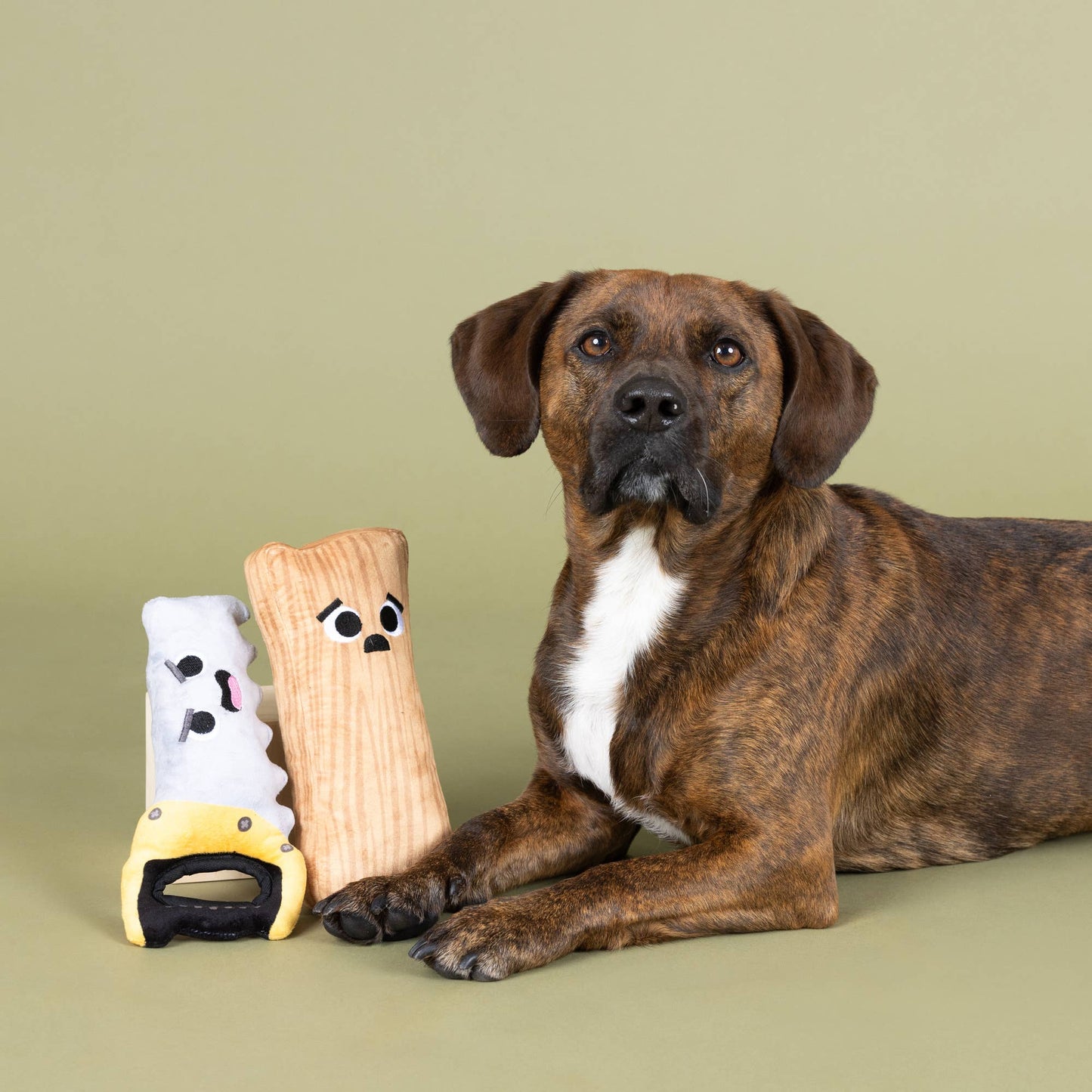 I Saw That 2 Piece Dog Toy Set