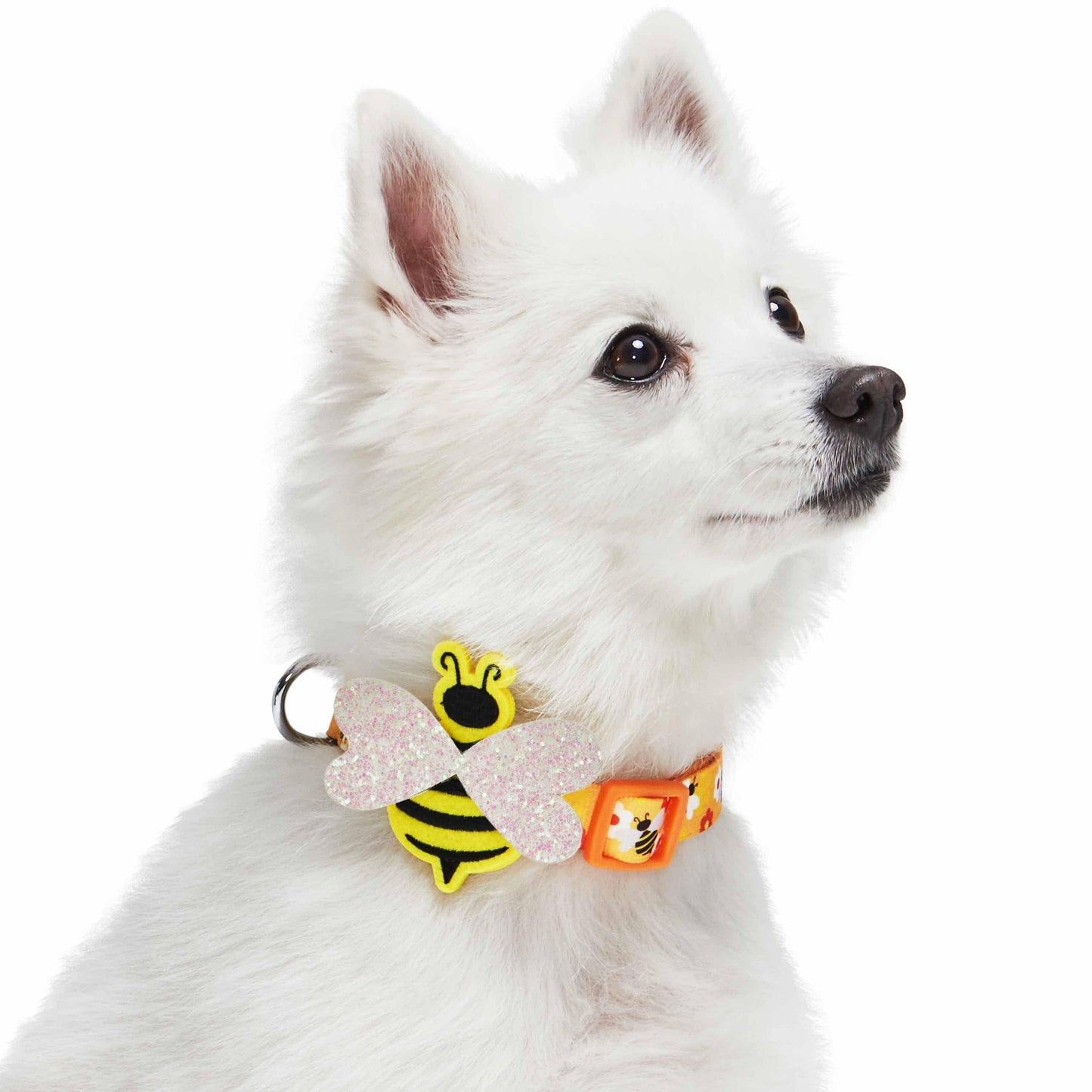 Dog Collar - Busy Bees