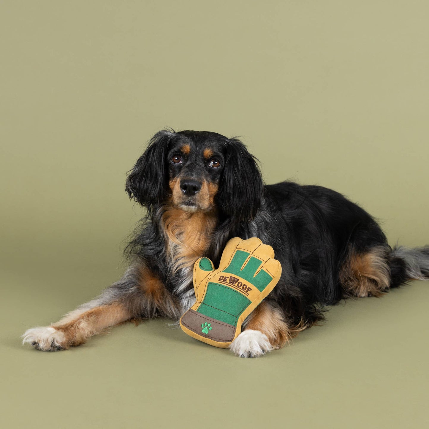 Need a Hand Plush Dog Toy