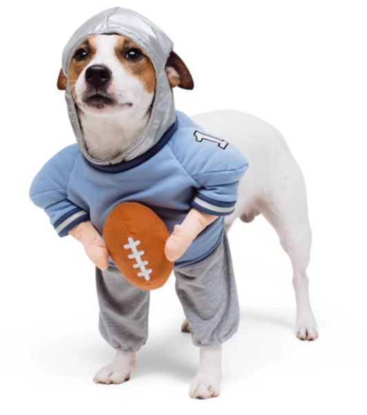 Disfraz de perro de Halloween de QuarterBark