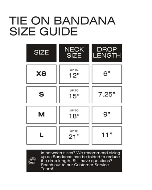 Adirondack Teddy Oat - Dog Bandana