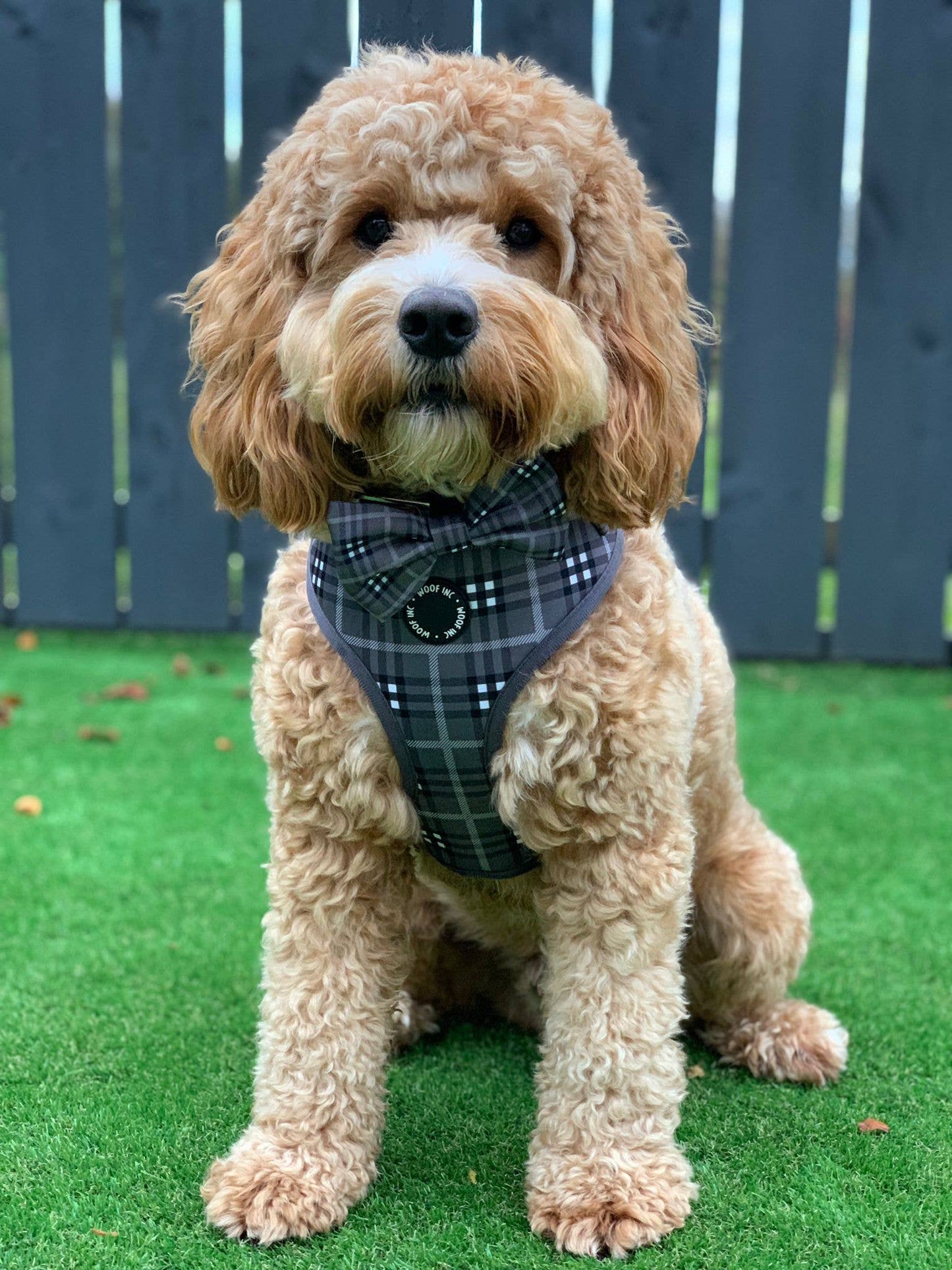 Arnés ajustable para perros con cuadros escoceses negros y grises