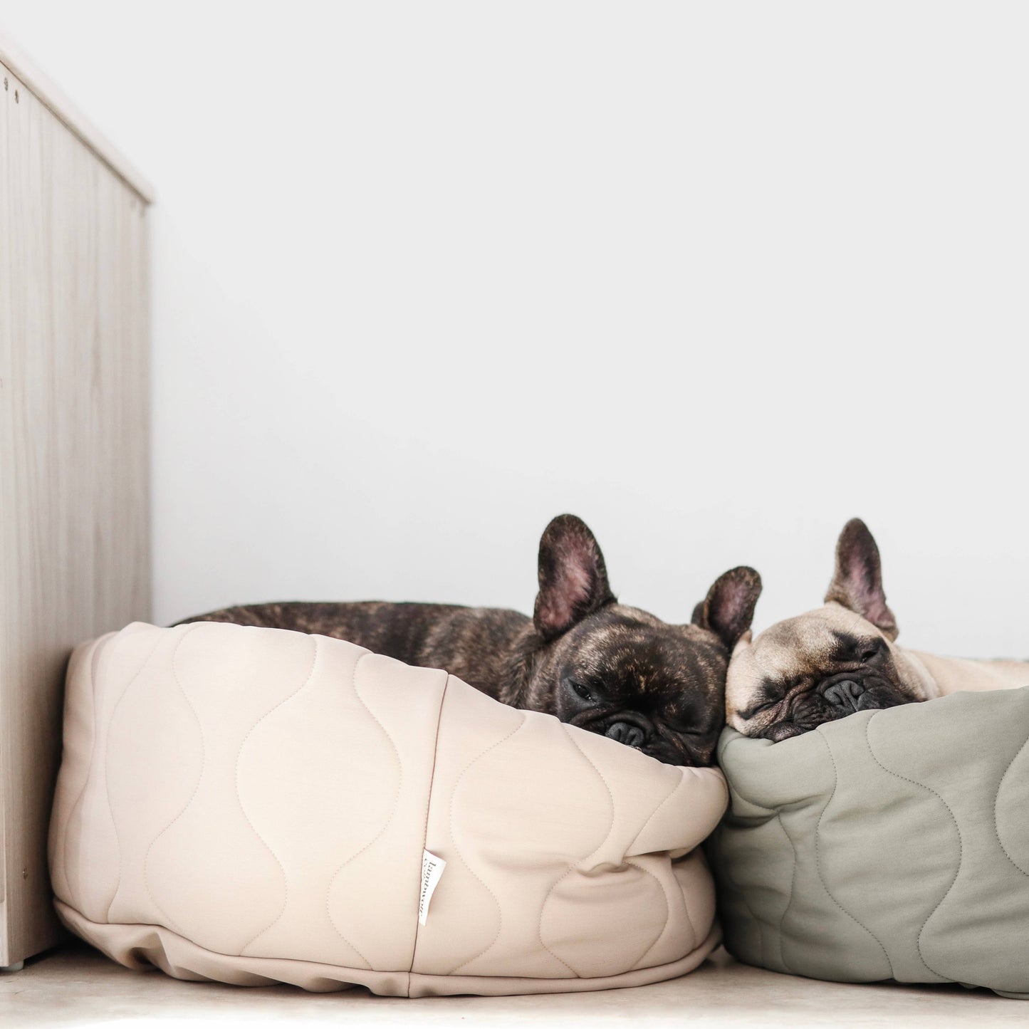 Taart Dog Bed - Assorted Colors