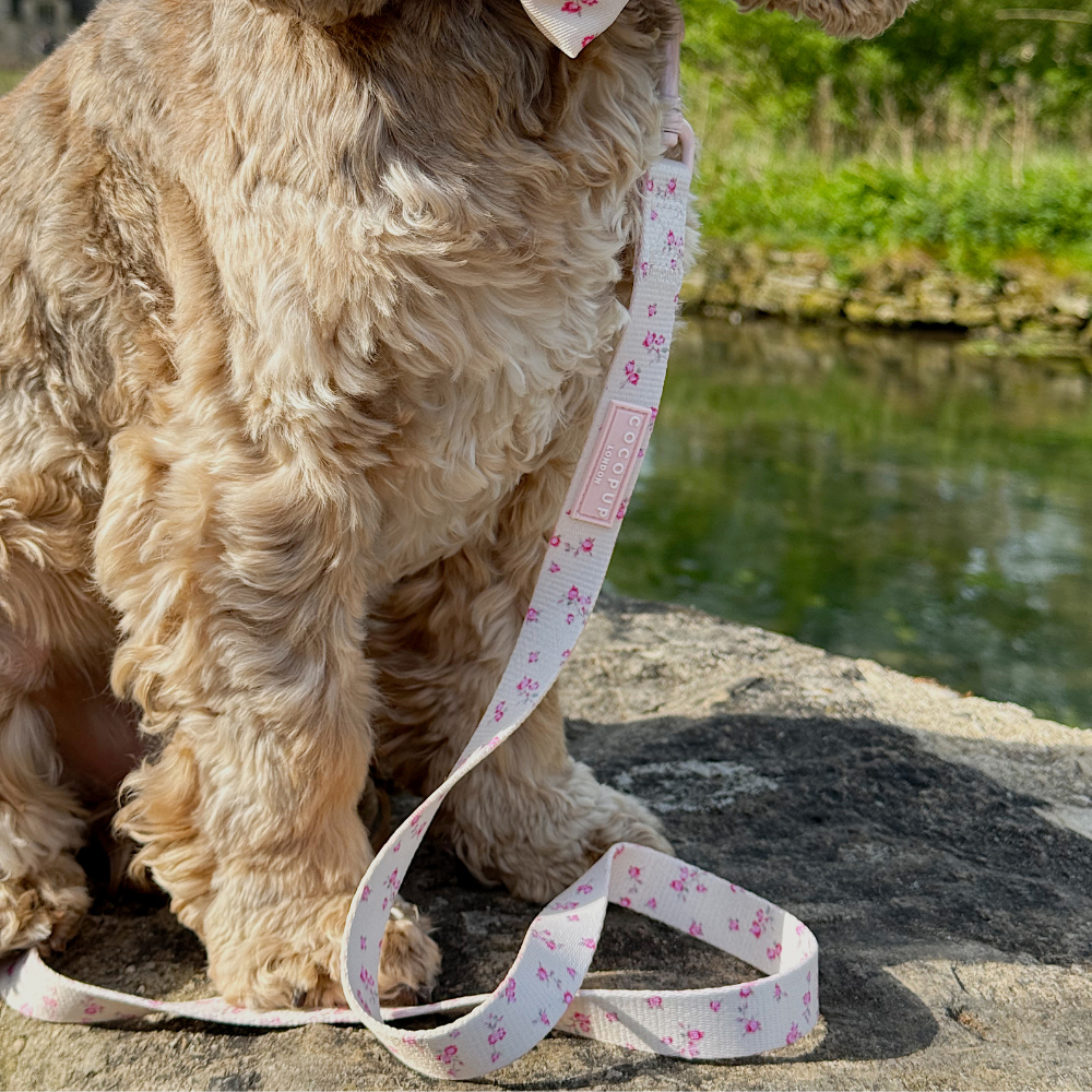 English Rose Dog Leash