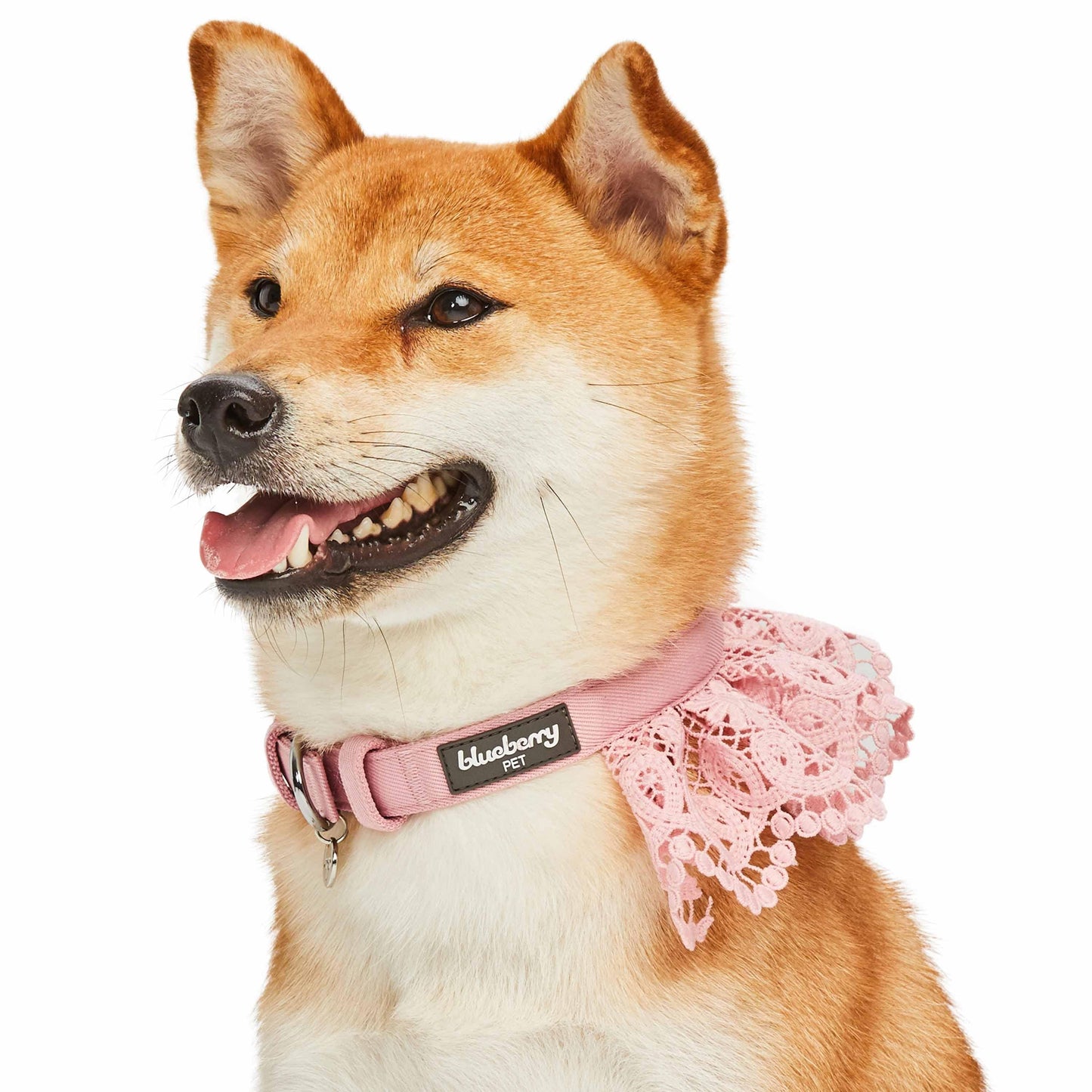 Cute Floral Lace Dog Collar - Lavender