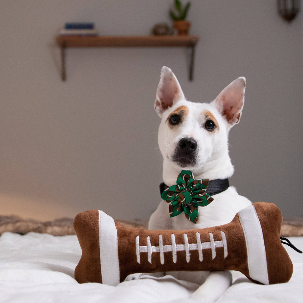 Power Plush Football Bone For Dogs