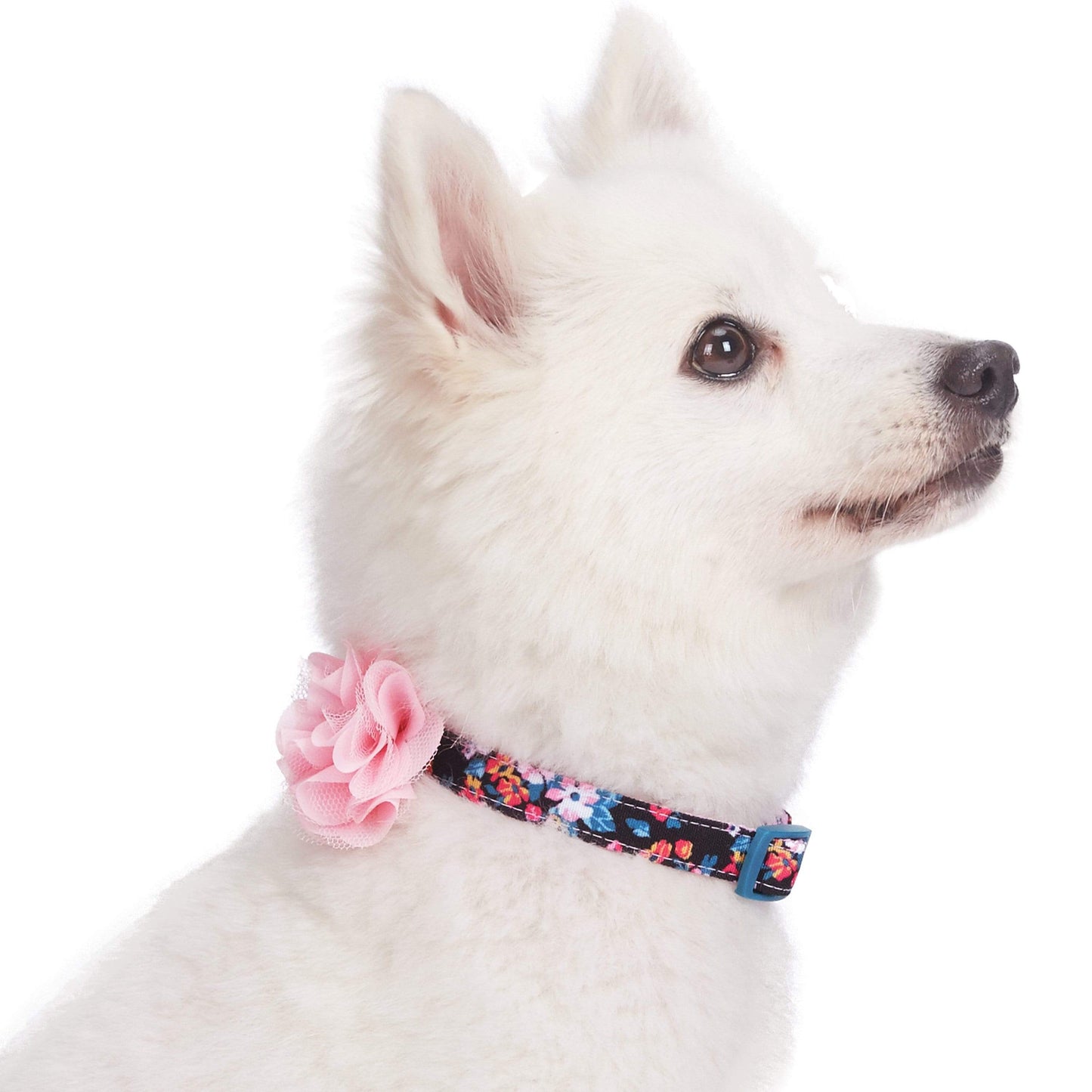 Floral Dog Collar with Flower - Assorted Colors