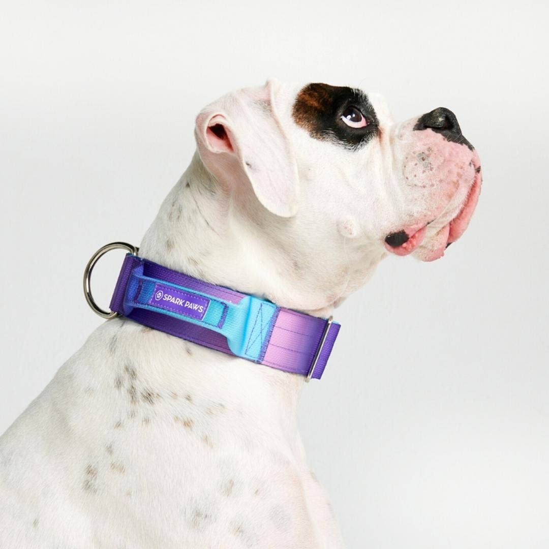Tactical Dog Collar - 90s Retro