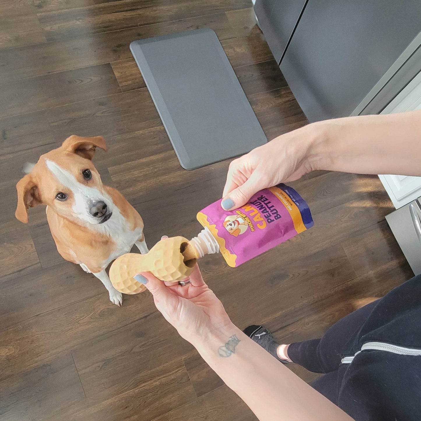 Calming Dog Peanut Butter (No CBD) 12oz Jar