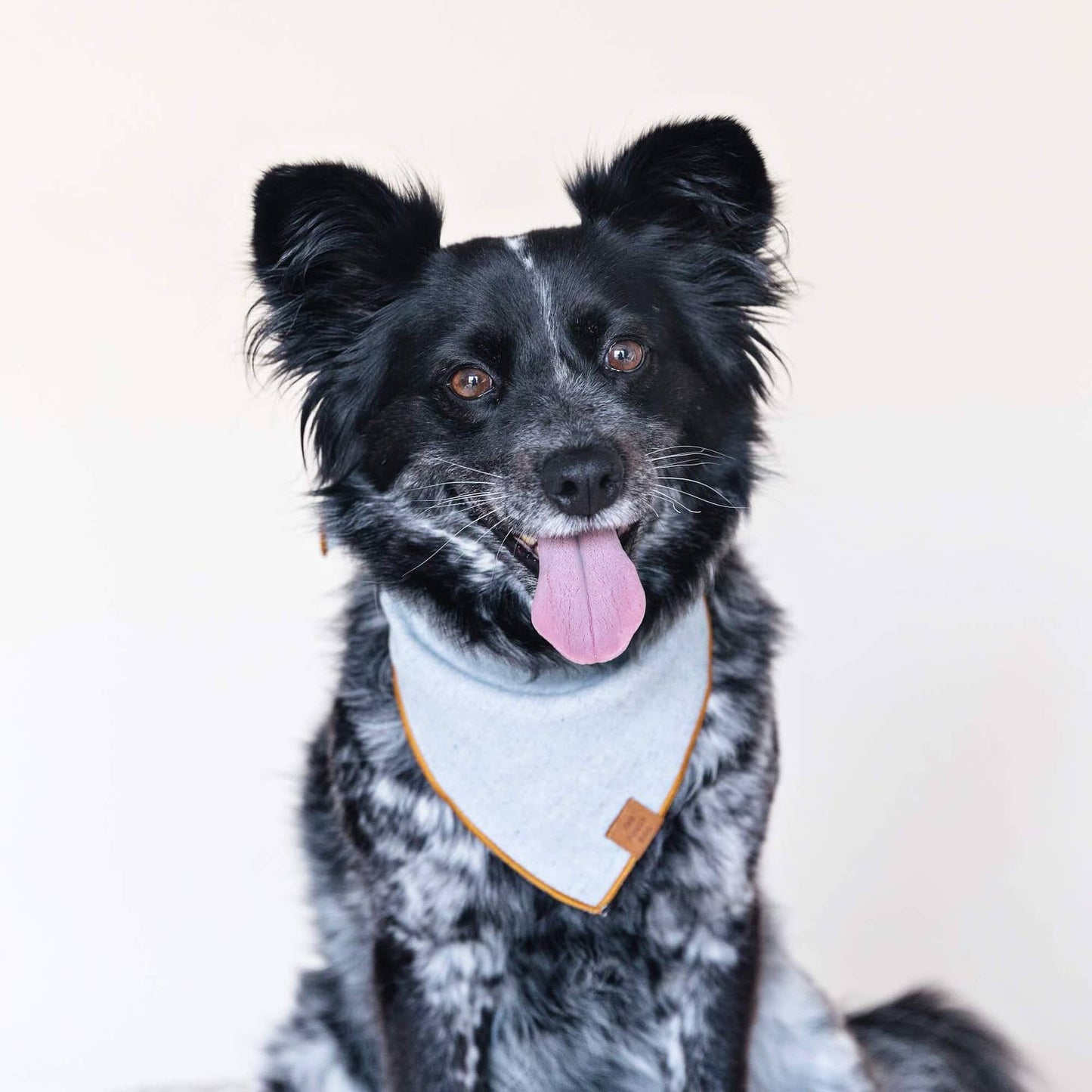 Upcycled Denim Sustainable Dog Bandana