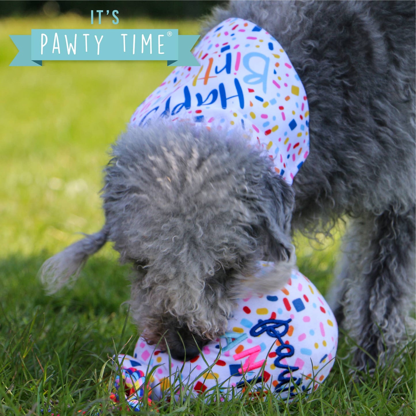 Pawty Time Balloon Dog Toy